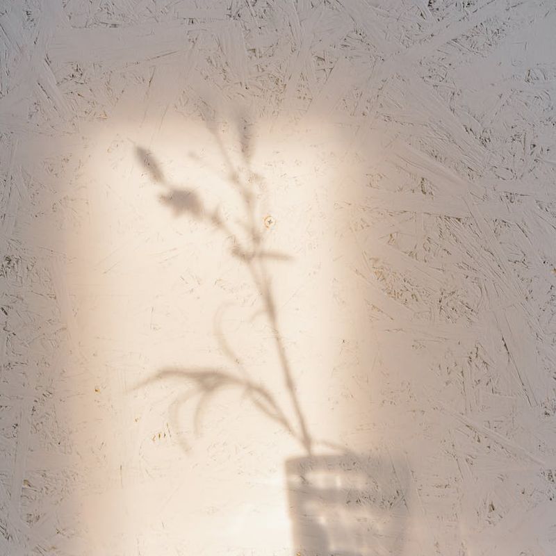 Person meditating peacefully, with soft light highlighting their calm demeanor.